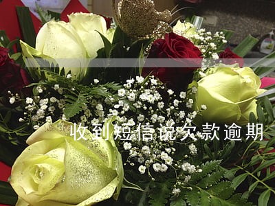 收到短信说欠款逾期 收到短信说欠款逾期