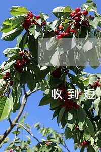 收到短信说欠款逾期上门核实情况