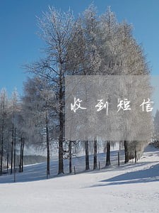 收到短信说消费贷逾期 收到短信说消费贷逾期