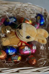 收到短信说要起诉网贷逾期 收到短信说要起诉网贷逾期