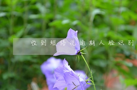 收到短信说逾期人脸识别 收到短信说逾期人脸识别