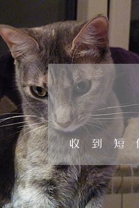 收到短信说逾期审理 收到短信说逾期审理