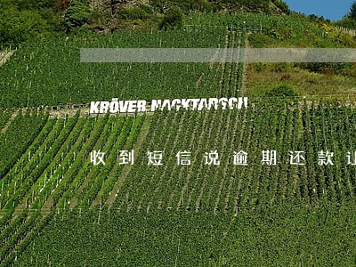 收到短信说逾期还款让回电话 收到短信说逾期还款让回电话