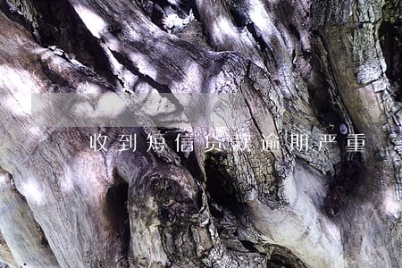 收到短信贷款逾期严重 收到短信贷款逾期严重