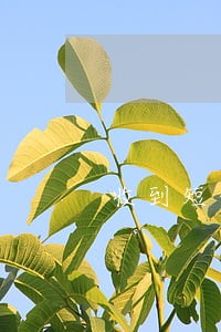 收到短信逾期未年报 收到短信逾期未年报
