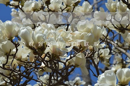 收到短信逾期联系专员 收到短信逾期联系专员