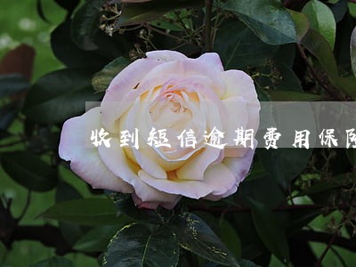 收到短信逾期费用保险公司代偿 收到短信逾期费用保险公司代偿