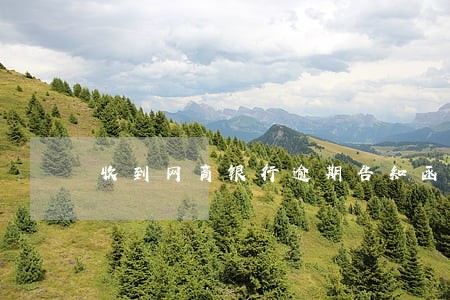 收到网商银行逾期告知函 收到网商银行逾期告知函