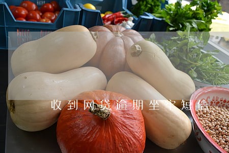 收到网贷逾期坐牢短信 收到网贷逾期坐牢短信