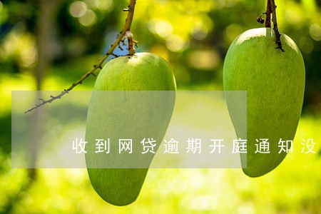 收到网贷逾期开庭通知没去 收到网贷逾期开庭通知没去
