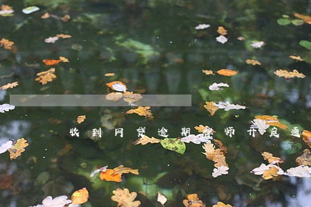 收到网贷逾期律师开庭通知 收到网贷逾期律师开庭通知
