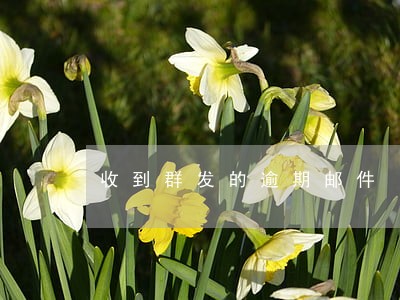 收到群发的逾期邮件 收到群发的逾期邮件