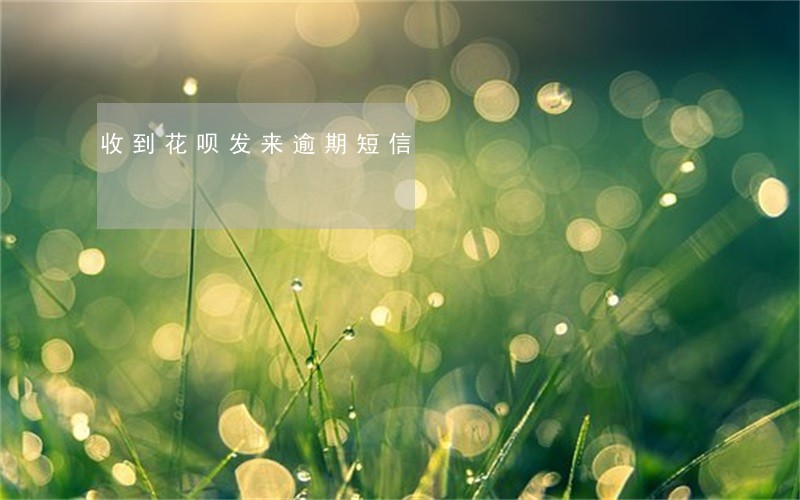 收到花呗发来逾期短信 收到花呗发来逾期短信