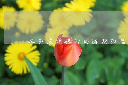 收到苏州银行的逾期短信