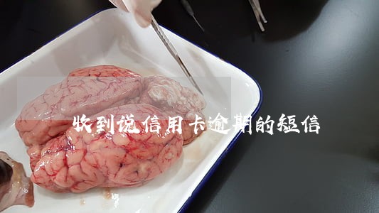 收到说信用卡逾期的短信