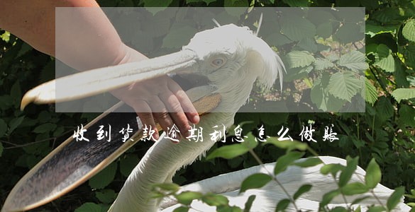 收到货款逾期利息怎么做账