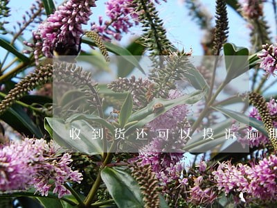 收到货还可以投诉逾期发货