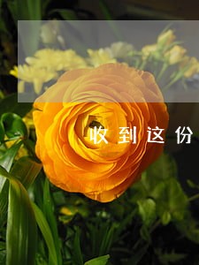 收到这份法院通知书 收到这份法院通知书