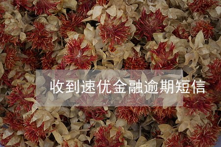 收到速优金融逾期短信 收到速优金融逾期短信