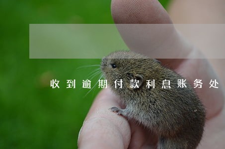 收到逾期付款利息账务处理