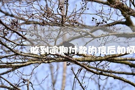 收到逾期付款的信后如何回信 收到逾期付款的信后如何回信