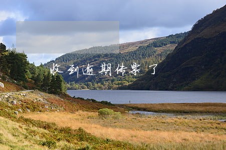 收到逾期传票了 收到逾期传票了