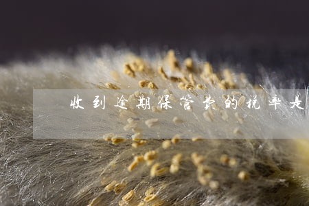 收到逾期保管费的税率是多少 收到逾期保管费的税率是多少