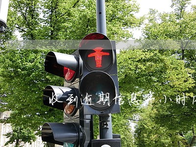 收到逾期信息半小时内还款 收到逾期信息半小时内还款