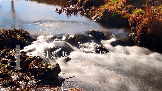 收到逾期信息要保存吗 收到逾期信息要保存吗