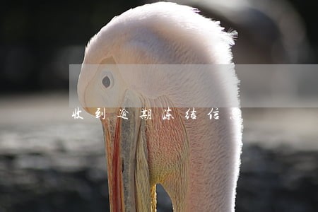 收到逾期冻结信息 收到逾期冻结信息