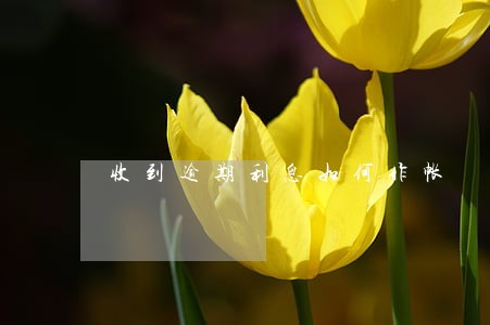 收到逾期利息如何作帐 收到逾期利息如何作帐