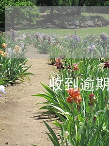 收到逾期利息要交税吗 收到逾期利息要交税吗