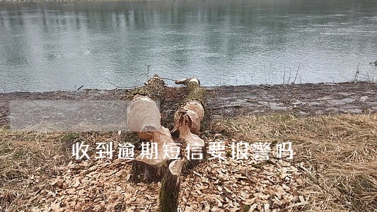 收到逾期短信要报警吗 收到逾期短信要报警吗