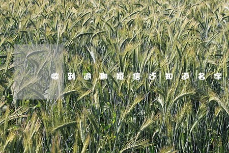 收到逾期短信还知道名字