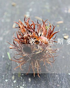 收到逾期要求还款短信