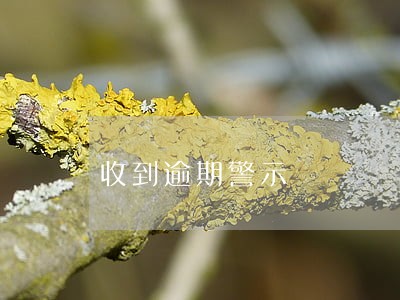 收到逾期警示