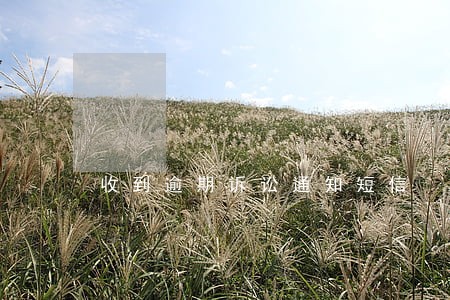 收到逾期诉讼通知短信 收到逾期诉讼通知短信