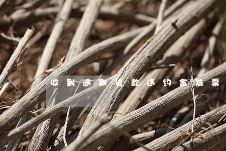 收到逾期货款违约金发票 收到逾期货款违约金发票