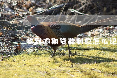 收到逾期贷款利息怎么记账 收到逾期贷款利息怎么记账