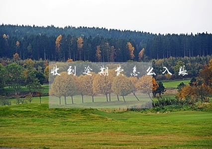 收到逾期费怎么入账 收到逾期费怎么入账