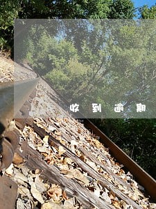 收到逾期还款通知信息是真的吗 收到逾期还款通知信息是真的吗