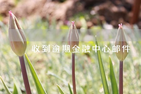 收到逾期金融中心邮件 收到逾期金融中心邮件