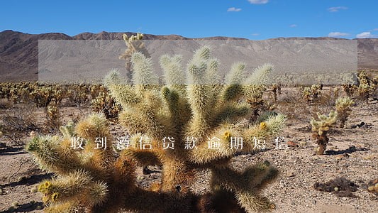 收到遵信贷款逾期短信 收到遵信贷款逾期短信