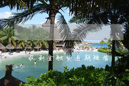 收到金融贷逾期短信 收到金融贷逾期短信