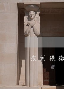 收到银微分期逾期短袖