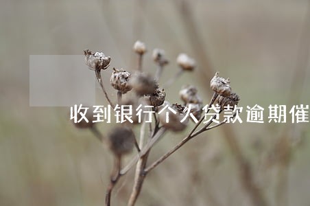 收到银行个人贷款逾期催收函 收到银行个人贷款逾期催收函