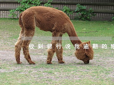 收到银行说我逾期的短信