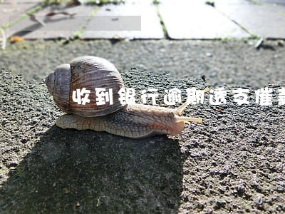 收到银行逾期透支催款通知书