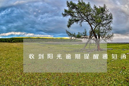收到阳光逾期提醒通知函
