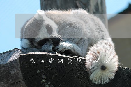 收回逾期贷款的奖励 收回逾期贷款的奖励